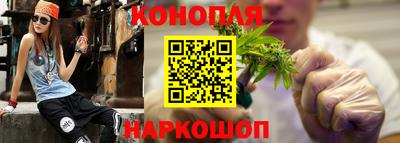 амф Кингисепп