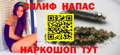 амф Кингисепп