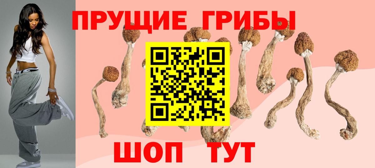 Псилоцибиновые грибы MAGIC MUSHROOMS  Галлюциногенные грибы MAGIC MUSHROOMS  Вход с VPN  Котлас 